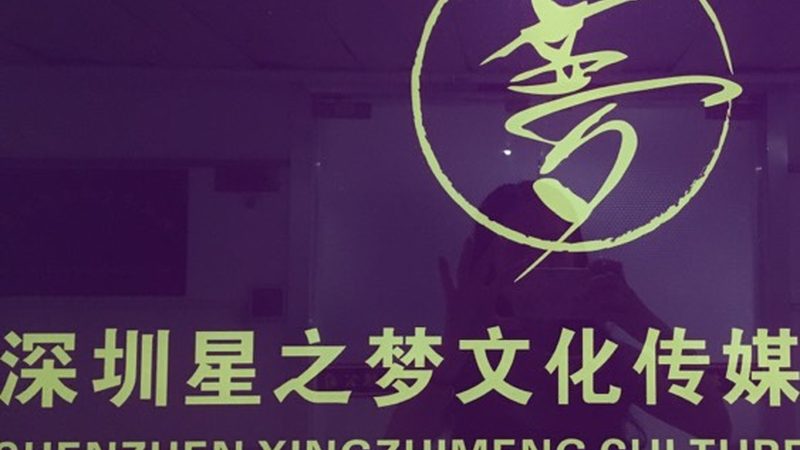 小标题：宣传片的意义