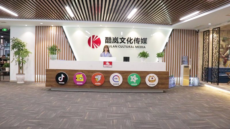 媒介投放方案：内容矩阵与流量分发的关键要素